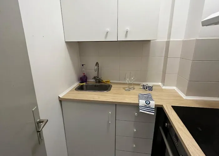 Lifestyle In The Center Daire Bükreş